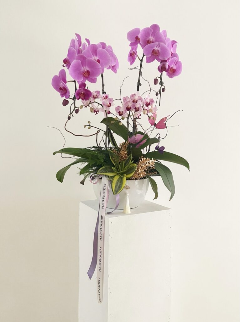 Longevity Pot - Qi (气)