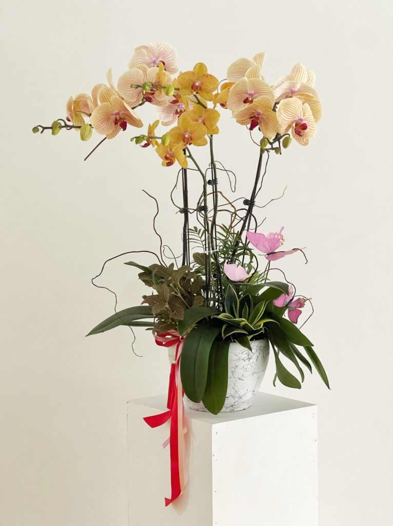 Longevity Pot  - Fu (福)