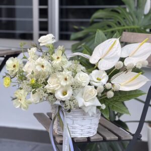 Ivory Dreams